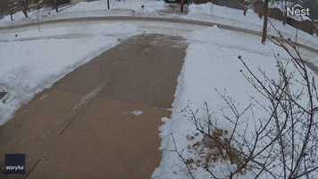 'Dada, You Have to Take Little Steps': Man Slips on Icy Driveway