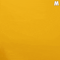 Mke Uwm Panthers GIF by Milwaukee Panthers