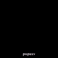 Motivation Fights GIF