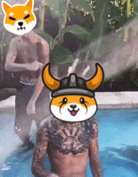 Shiba Inu Memecoin GIF by :::Crypto Memes:::