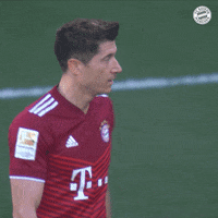 Robert Lewandowski Football GIF by FC Bayern Munich