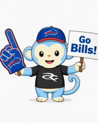 Buffalo Bills Football GIF by Respective