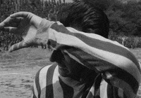 Film Swipe GIF
