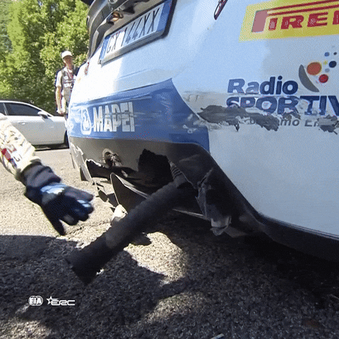 Erc GIF by FIA European Rally Championship