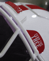 Stanford Football GIF by Stanford Athletics