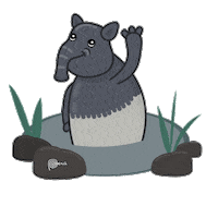 Peru Selva Sticker by Y Tú Qué Planes