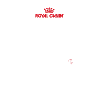 Rcbrasil Sticker by Royal Canin Brasil