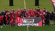 Celebration Trophy GIF by Cliftonville Football Club