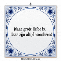Hoop Nl GIF by Tegelspreuken.nl
