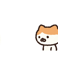 Cat What GIF by LINE FRIENDS