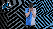Sport GIF by BS+COMPETITION