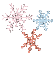 Christmas Sprinkles Sticker