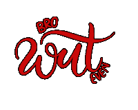 soumyakrishnaraj what lettering lmao calligraphy Sticker