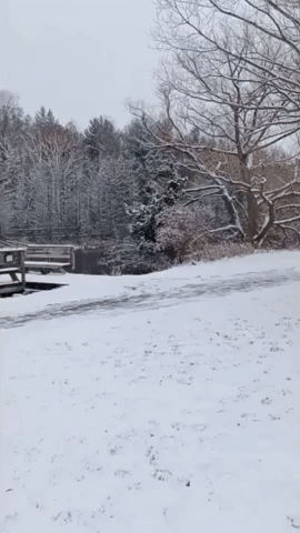 First Winter Storm of the Season Brings Lake Effect Snow to Northern Michigan