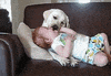 Video gif. White Labrador licks a toddler's ear as he turns his head laughing on a dark brown couch.
