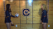 cnvb 2018cnvb GIF by Carson-Newman Athletics