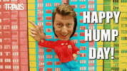 Celebrity gif. Dougie Payne from The Travis Band has his head and hand stuck in a cardboard cut out. A cardboard body dances from side to side and his hand points downwards in rhythm to his body. Text, "Happy hump day!"