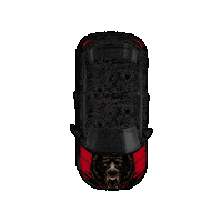 Beer Car Sticker by Bear Eats Tiger