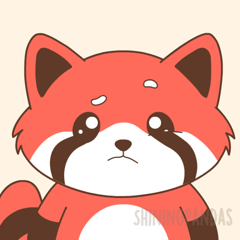 Red Panda What GIF
