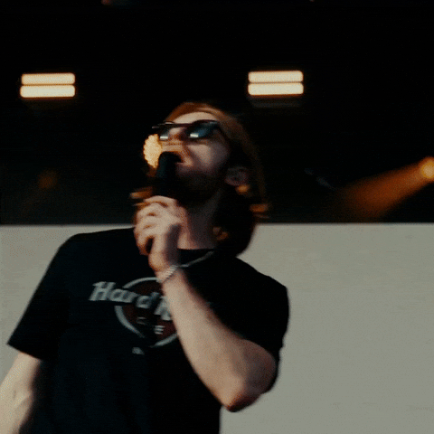 Lollapalooza Finneas GIF by Respective