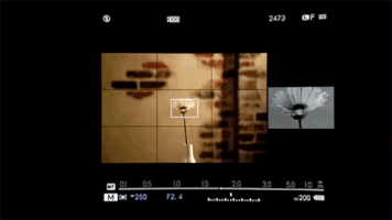 GIF by Wirecutter