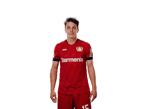 Bayer 04 Hello Sticker by Bayer 04 Leverkusen