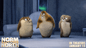 #normofthenorth GIF by Lionsgate