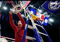 Basketball Razorbacks GIF by Hogs+