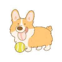 Stefisundays dog doggo corgi playtime Sticker