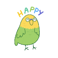 Stefisundays happy excited bird birb Sticker