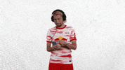 Dance Dancing GIF by RB Leipzig
