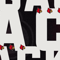 Louisville Football GIF by Louisville Cardinals