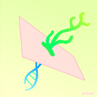 Animation Domination Fox GIF by gifnews