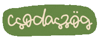 Fesztival Sticker by Gombaszög