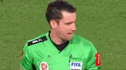 Premier League Fifa GIF by Football Australia