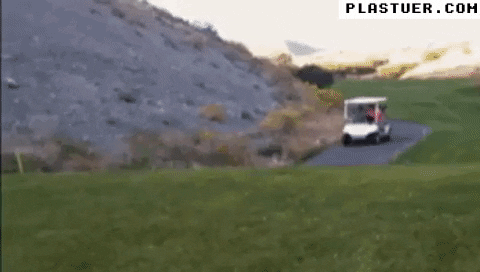 giphyupload GIF