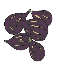 Mallorca Figs Sticker