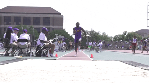 Track And Field Gold GIF by LSU Tigers