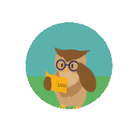 LioxFoundation star owl minerva liox foundation Sticker