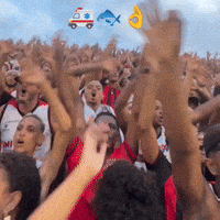 Festa GIF