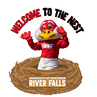 Falcons Uwrf Sticker by UW-River Falls