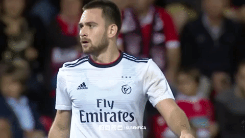 sl benfica slbgifs GIF by Sport Lisboa e Benfica