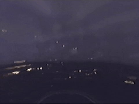 Footage Oaf GIF by jorgemariozuleta