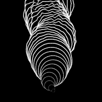 Black And White Art GIF by xponentialdesign