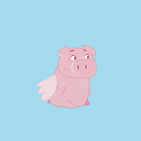 Awkward Flying Pig GIF by PositivelyPigasus