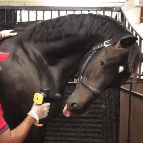 samwhite011a giphyupload GIF