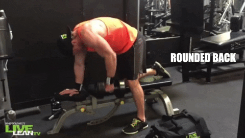 LiveLeanTV giphygifmaker giphyattribution live lean tv bent over row GIF