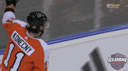 Ice Hockey Sport GIF by NHL