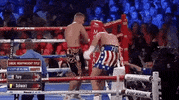 toprank fight boxing fighting espn GIF