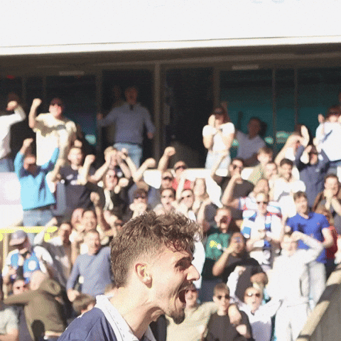 Celebration Love GIF by MillwallFC